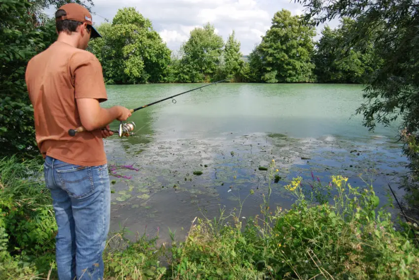 Pêcher les obstacles à la recherche des carnassiers