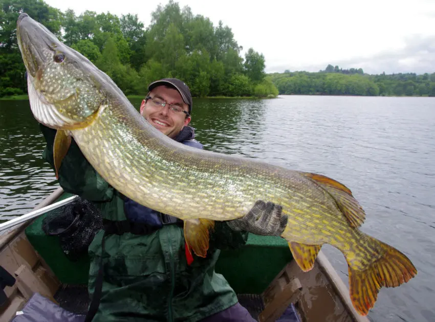 Récit du brochet de 132cm