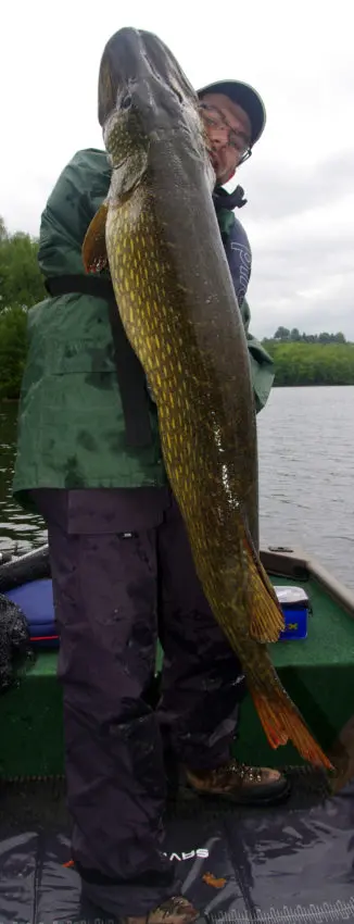 Récit du brochet de 132cm