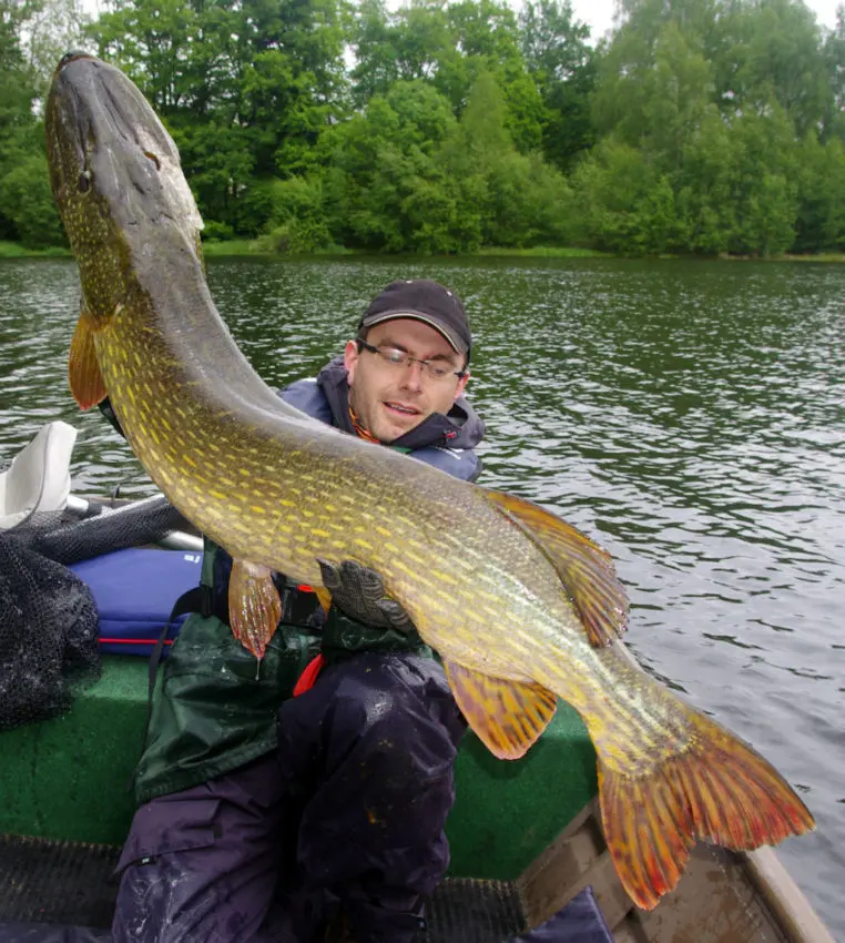 Récit du brochet de 132cm