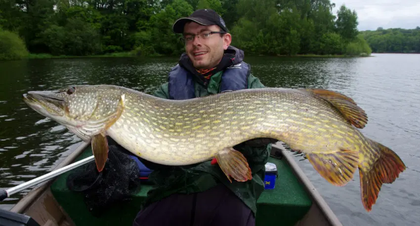 Récit du brochet de 132cm