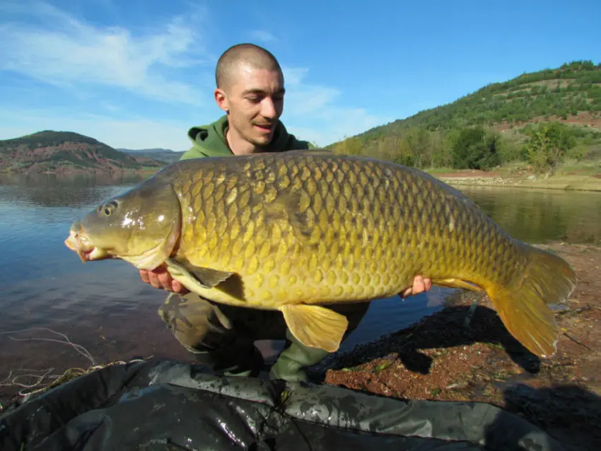 Pêcher la carpe dans les grandes profondeur des grands lacs