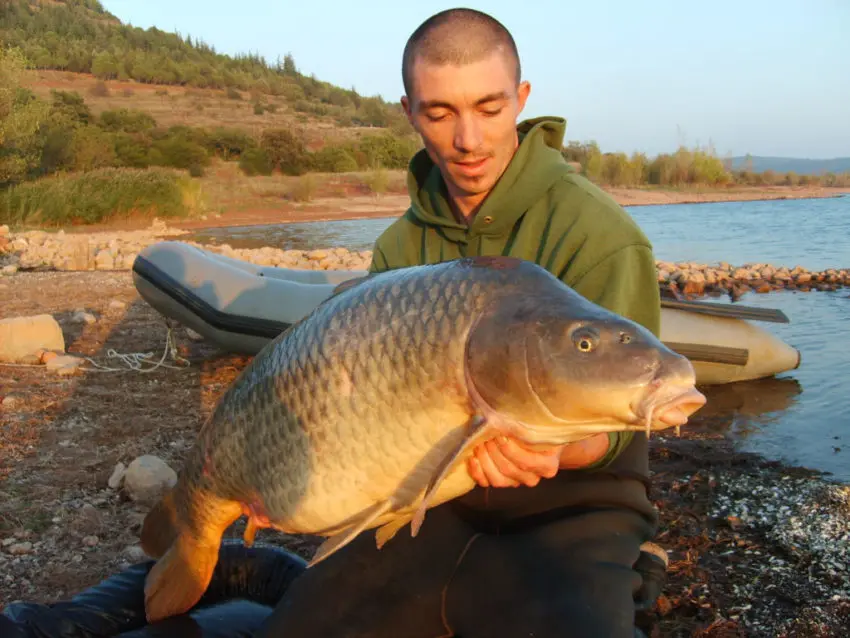 Pêcher la carpe dans les grandes profondeur des grands lacs