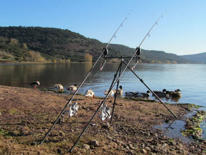 Pêcher la carpe dans les grandes profondeur des grands lacs