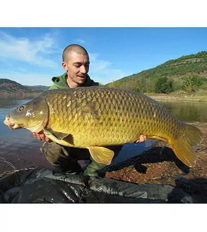 Pêcher la carpe dans les grandes profondeur des grands lacs