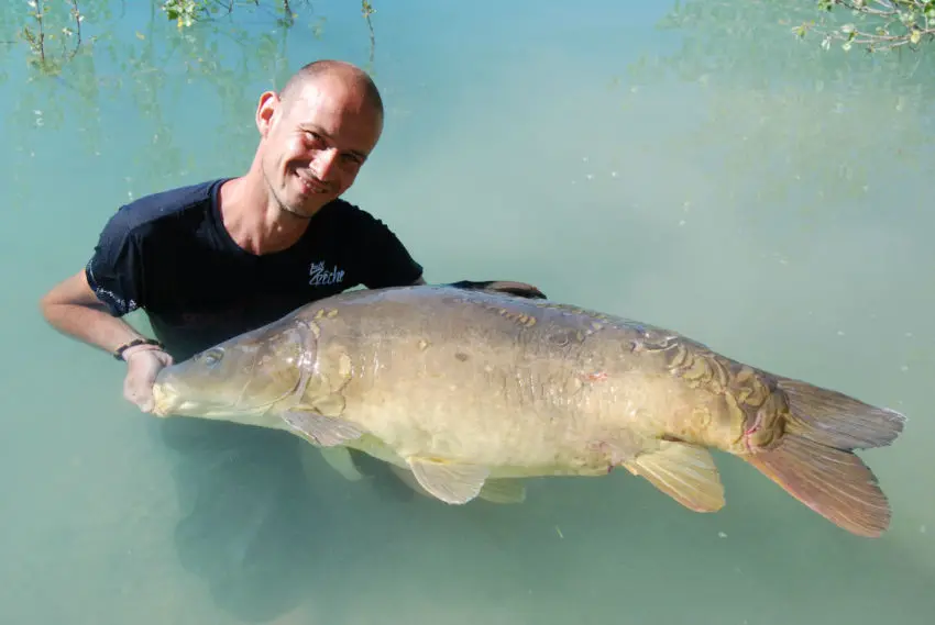 Pêcher la carpe dans les grands espaces sauvages