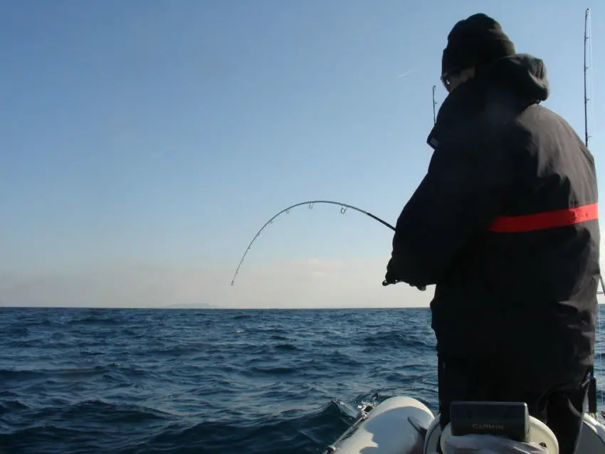 Pêche en mer au madaï jig