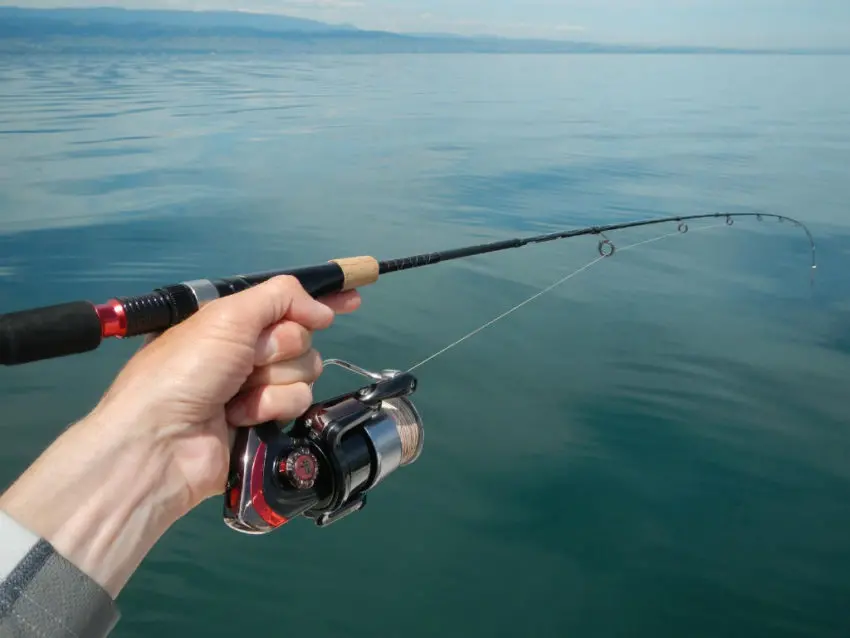 Pêcher le corégone dans les lacs alpins et jurassiens