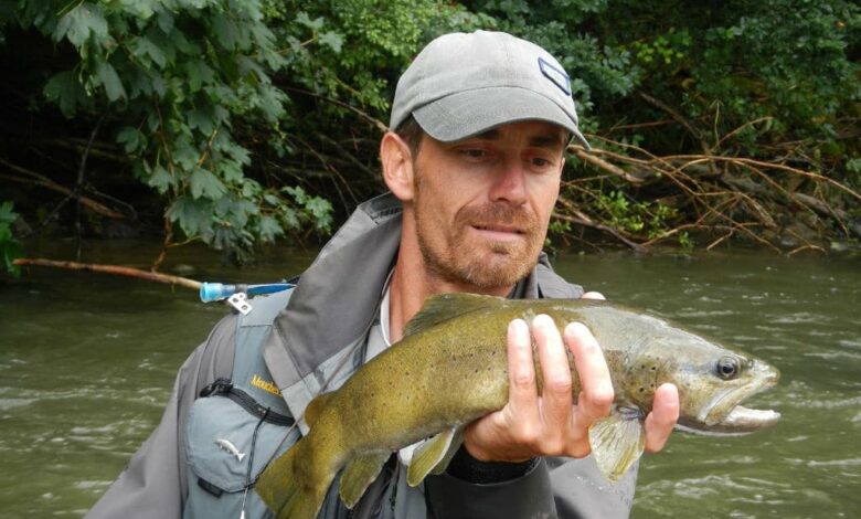 Pêcher la truite à la mouche au fil