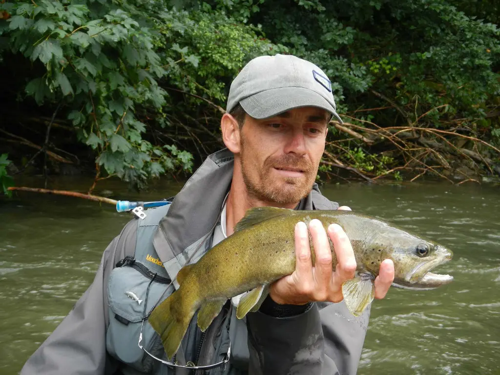 Pêcher la truite à la mouche au fil