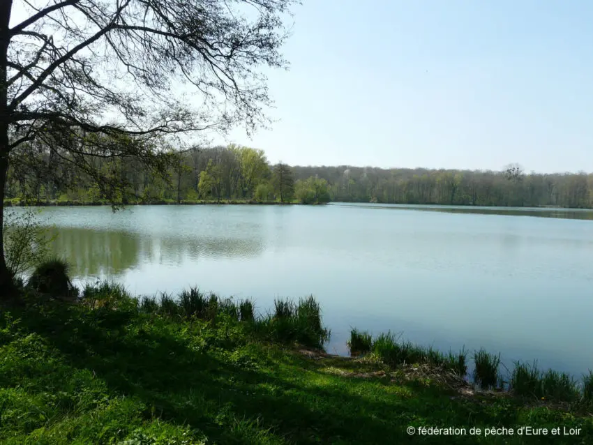 Pêche en Eure et Loir