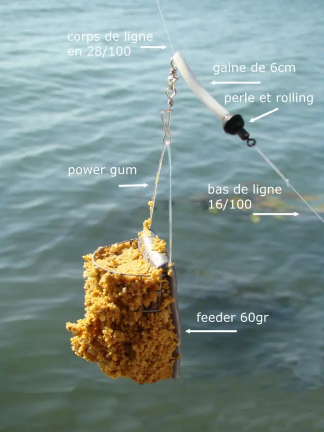 Pêcher la carpe au coup, à l'anglaise et au feeder