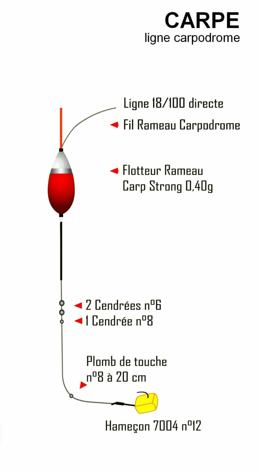 Comment P cher La Carpe Au Coup 4 Techniques De P che Diff rentes