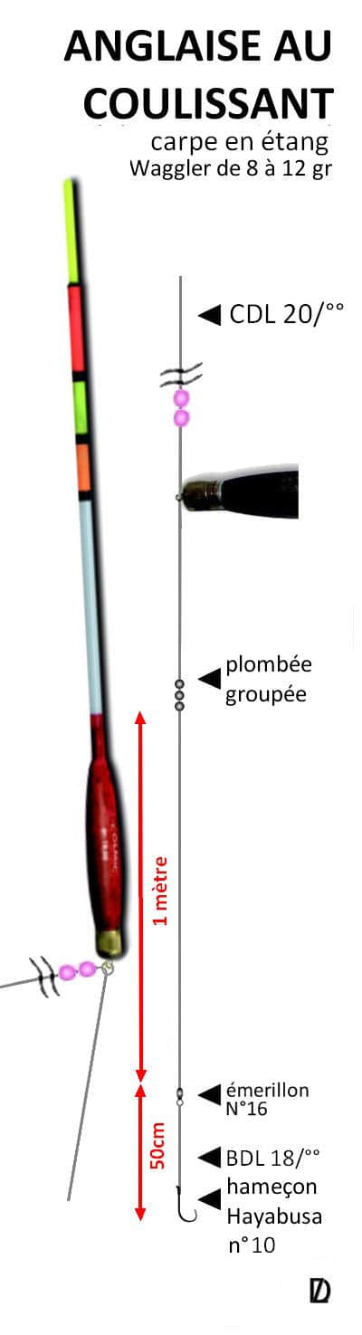 Comment P cher La Carpe Au Coup 4 Techniques De P che Diff rentes