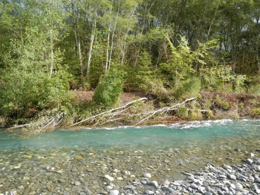 Pêche de la truite aux leurres durs