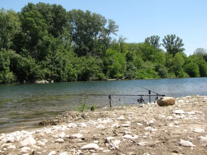 Sauve bredouille pour pêcher la carpe