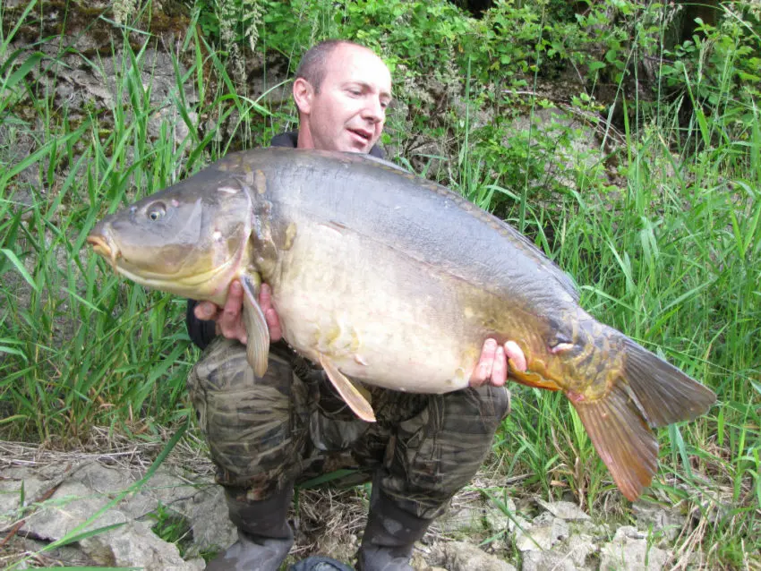 Sauve bredouille pour pêcher la carpe