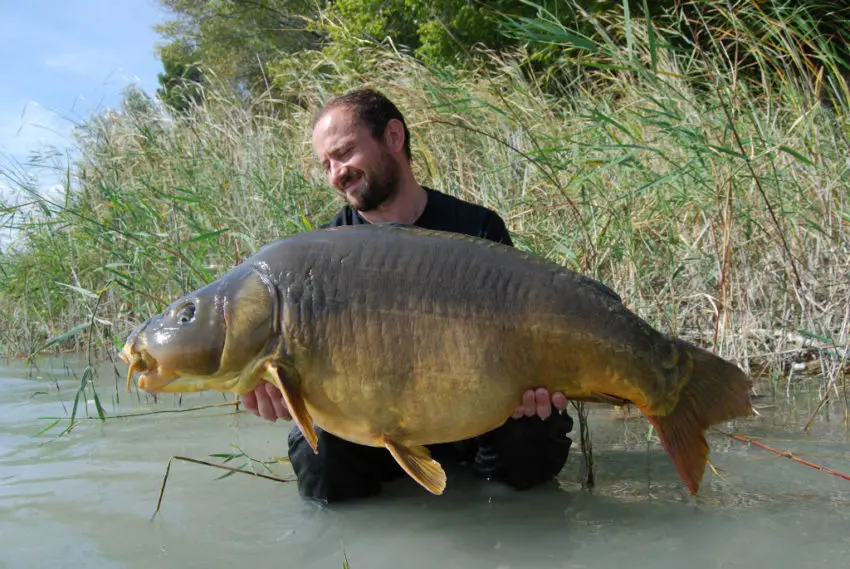 Récit pêche à la carpe avec un carton d'automne