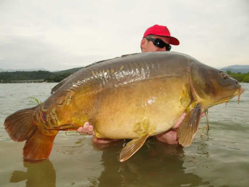 Faire son mix pour rouler ses bouillettes pour pêcher la carpe