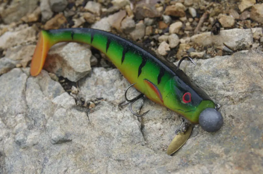 Leurre Dexter Shad de chez Illex pour pêcher le carnassier, principalement le brochet.