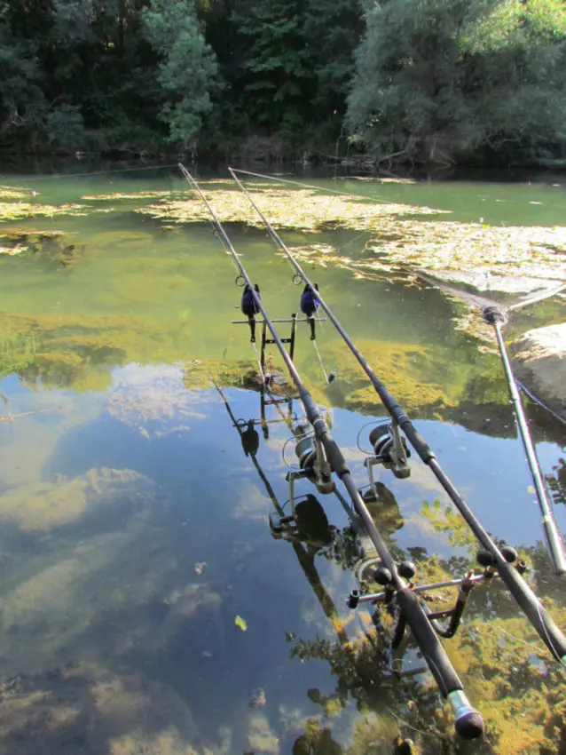 Comment pêcher la carpe en journée