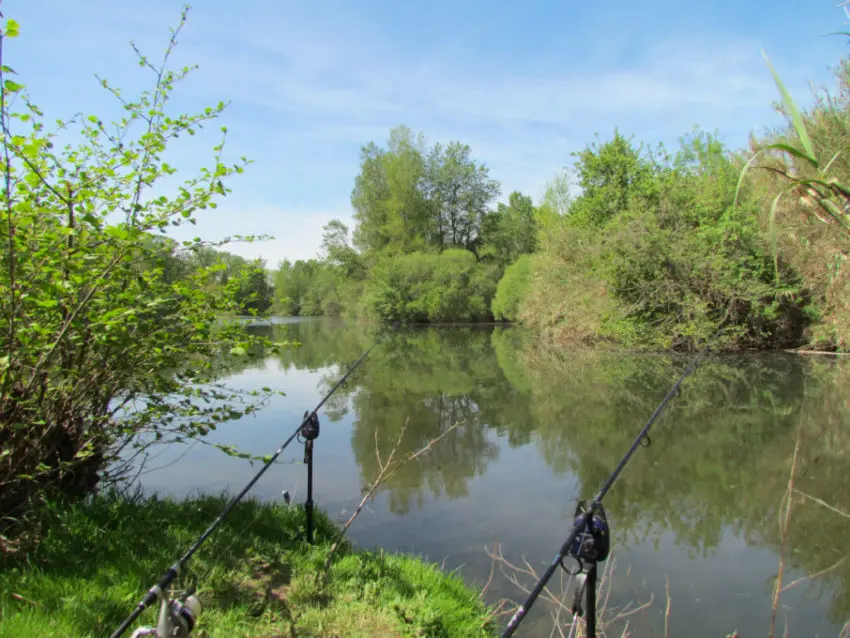 Comment pêcher la carpe en journée