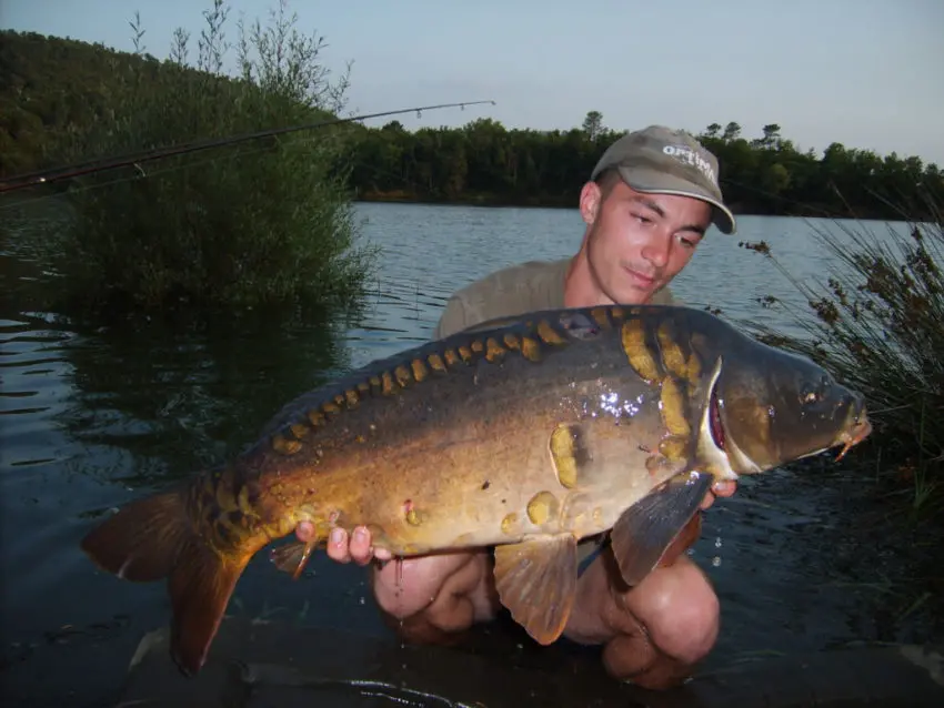 Comment pêcher la carpe en journée