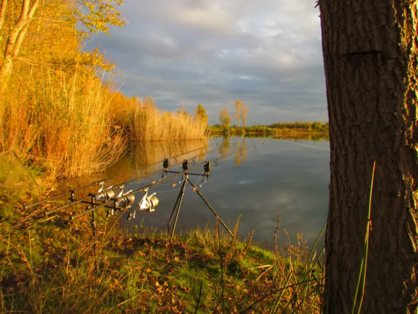 Comment pêcher la carpe en journée