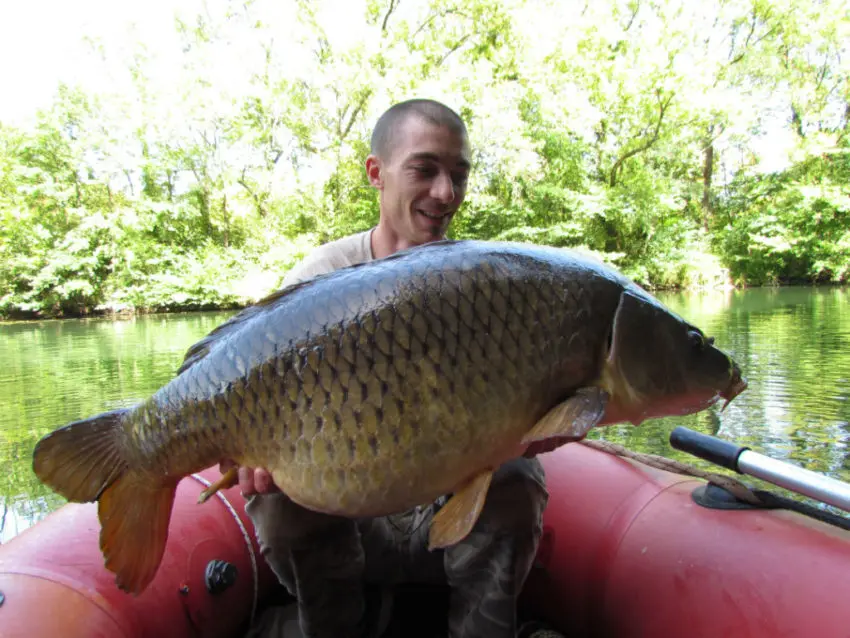 Comment pêcher la carpe en journée