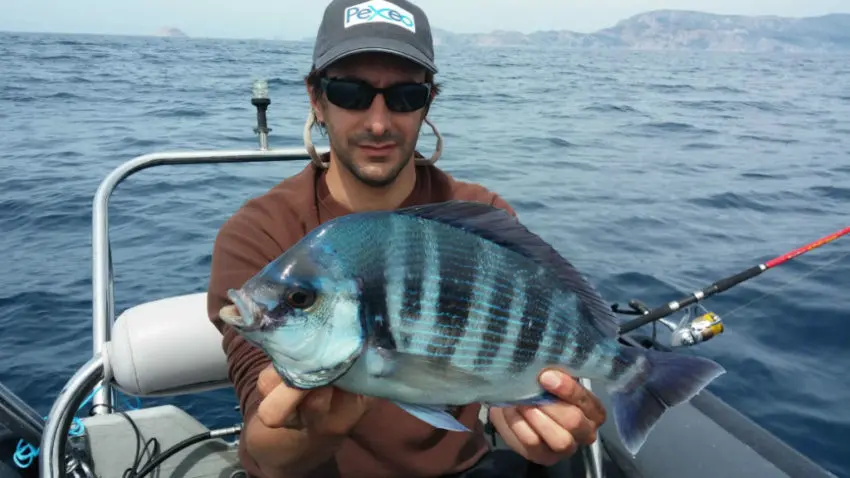 Pêche au broumé en mer