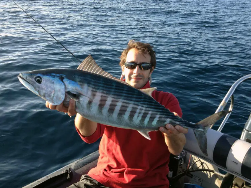 Pêche au broumé en mer