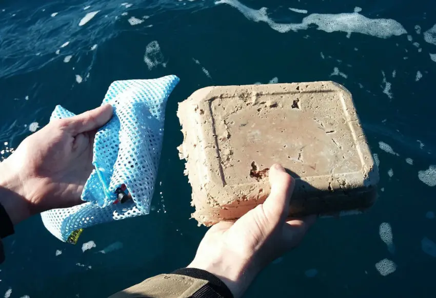 Pêche au broumé en mer