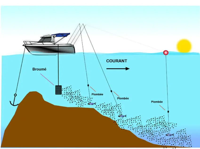 Pêche au broumé en mer