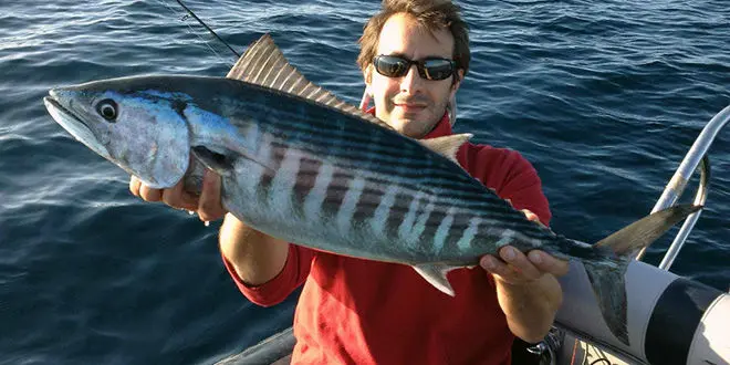 Pêche au boumé en mer