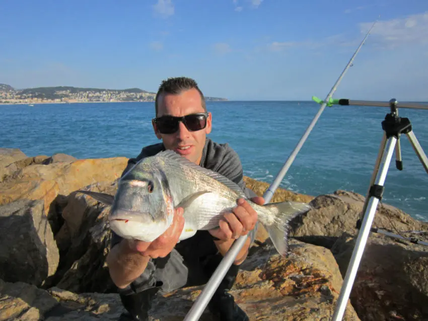 Pêcher la daurade au ver de chalut