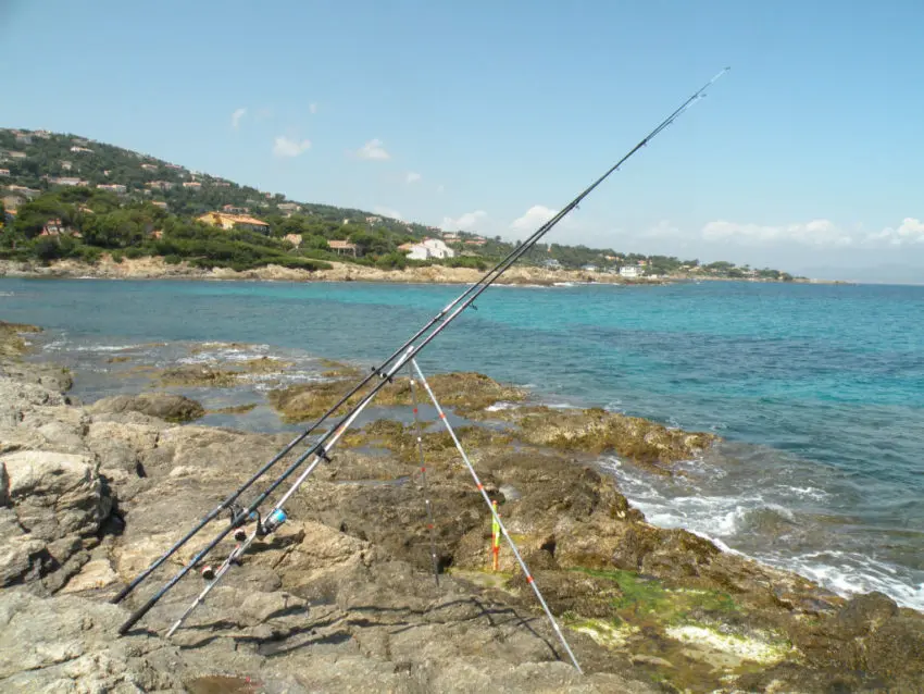 Pêcher la daurade au ver de chalut