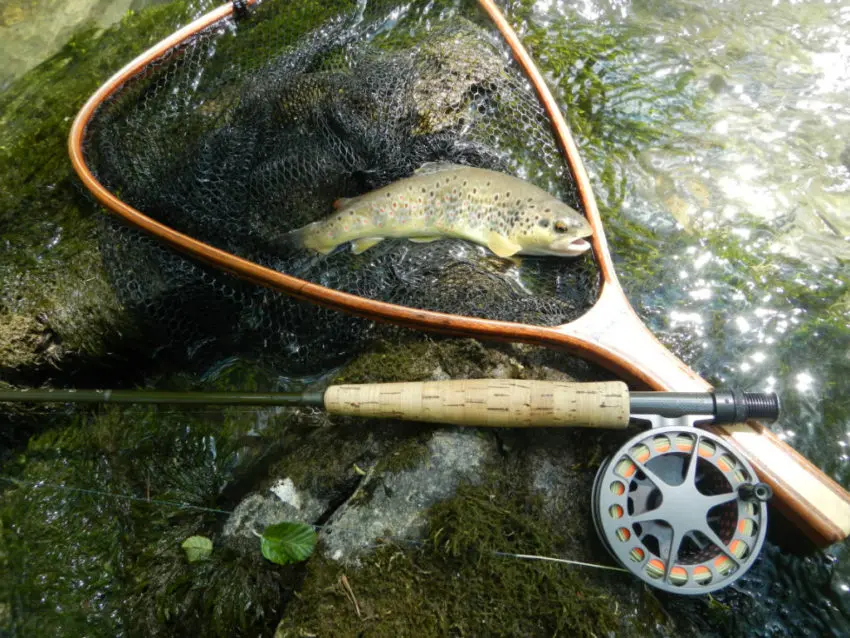 Choisir sa canne et son moulinet pour pêcher à la mouche