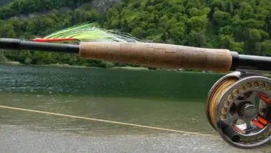 Choisir sa canne et son moulinet pour pêcher à la mouche