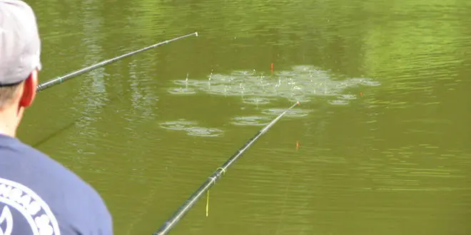 Choix du flotteur pour pêcher au coup