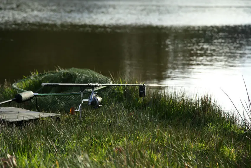 Conseils pour pêcher en carpodrome