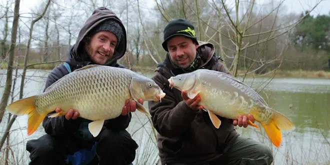 Conseils pour pêcher en carpodrome