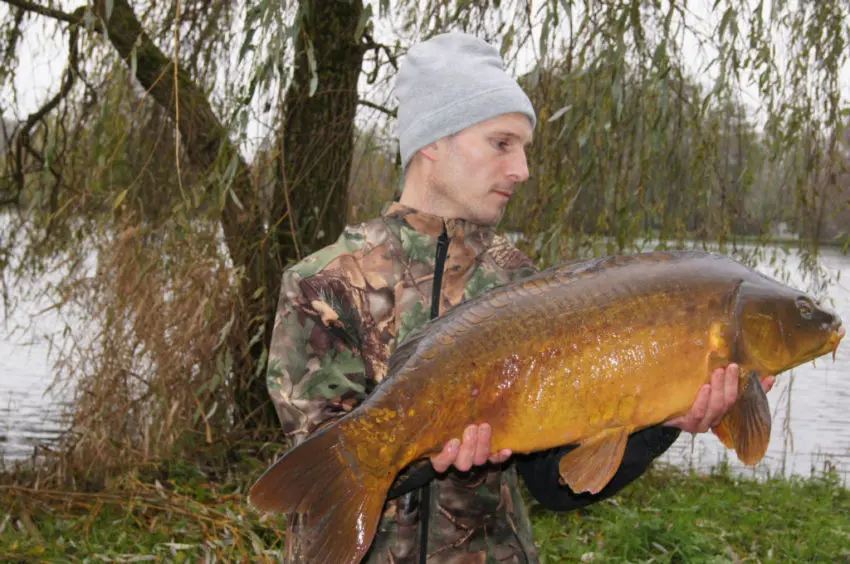 Pêcher la carpe dans les eaux frodies