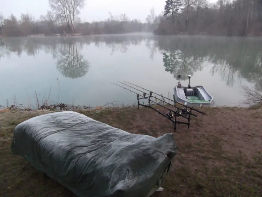 Pêcher la carpe dans les eaux frodies