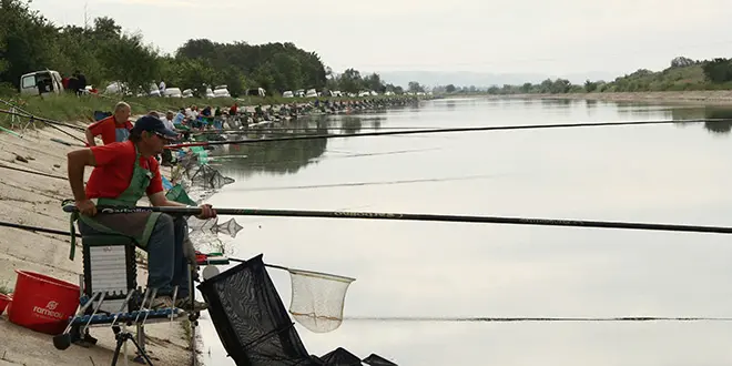 Pêcher le gardon en canal