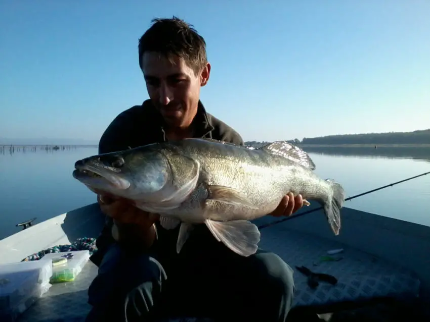 Bien conduire son leurre souple quand on pêche le carnassier en verticale