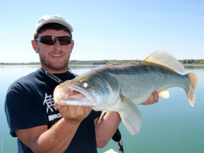 Bien conduire son leurre souple quand on pêche le carnassier en verticale