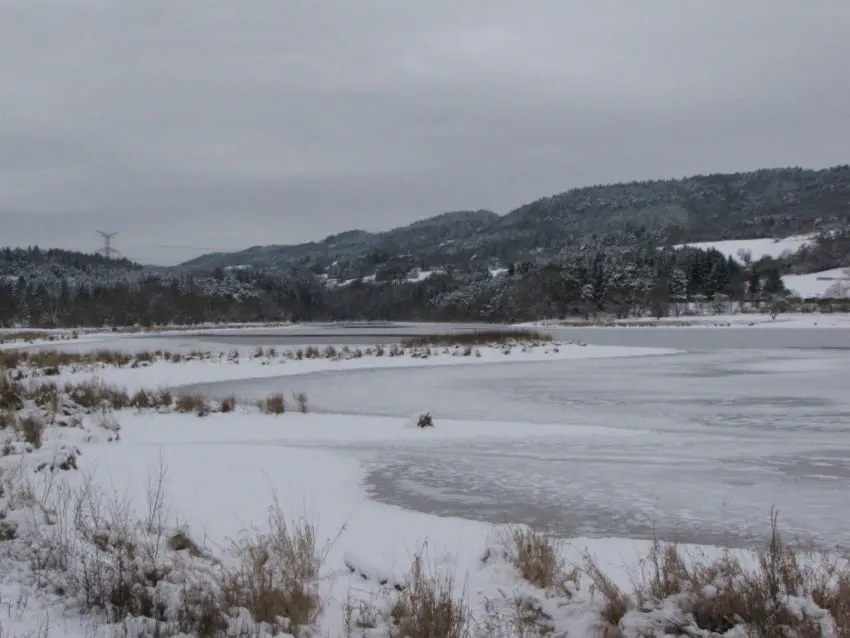 Conseils pour pêcher la carpe en hiver