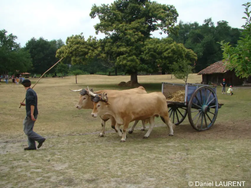 Pêcher dans les Landes