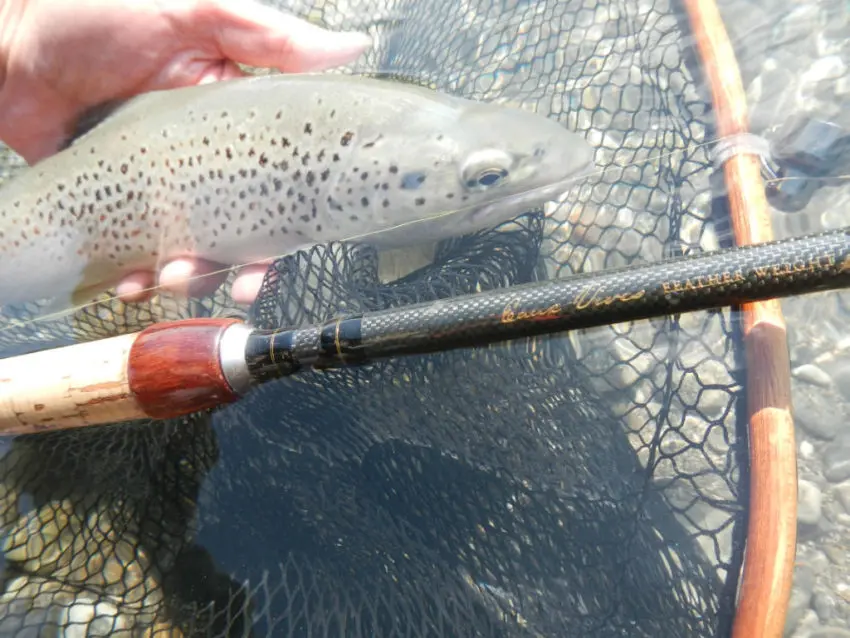 Technqiues de pêche pour pêcher les truites sauvages