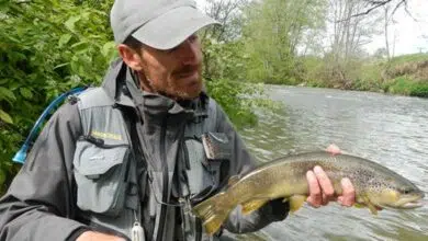 Technqiues de pêche pour pêcher les truites sauvages